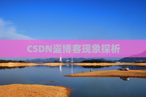 CSDN盗博客现象探析